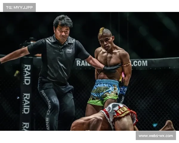 天心获胜引发日本拳坛震动 跨界选手夺冠或改变行业生态